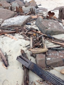 These creosote soaked pieces of wood are all over Takanassee beach and in the water. 