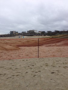 All the wood is now off the beach. It is gratifying to know that a call to 877 warnDEP really does work! Thanks to the DEP and Dave Sorenson from Monmouth County Health Department for helping our our watershed.