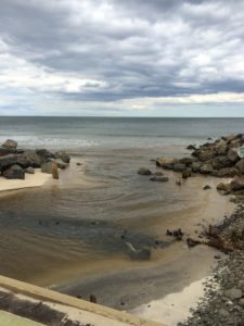 Tak beach May 15 2016 - 1 of 1 (3)