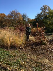 Master gardener does magic in at Ross Island Park