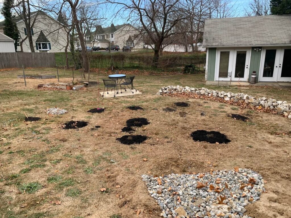 late fall residential rain garden muching